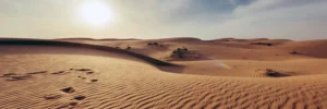 desert2