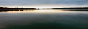 lac1